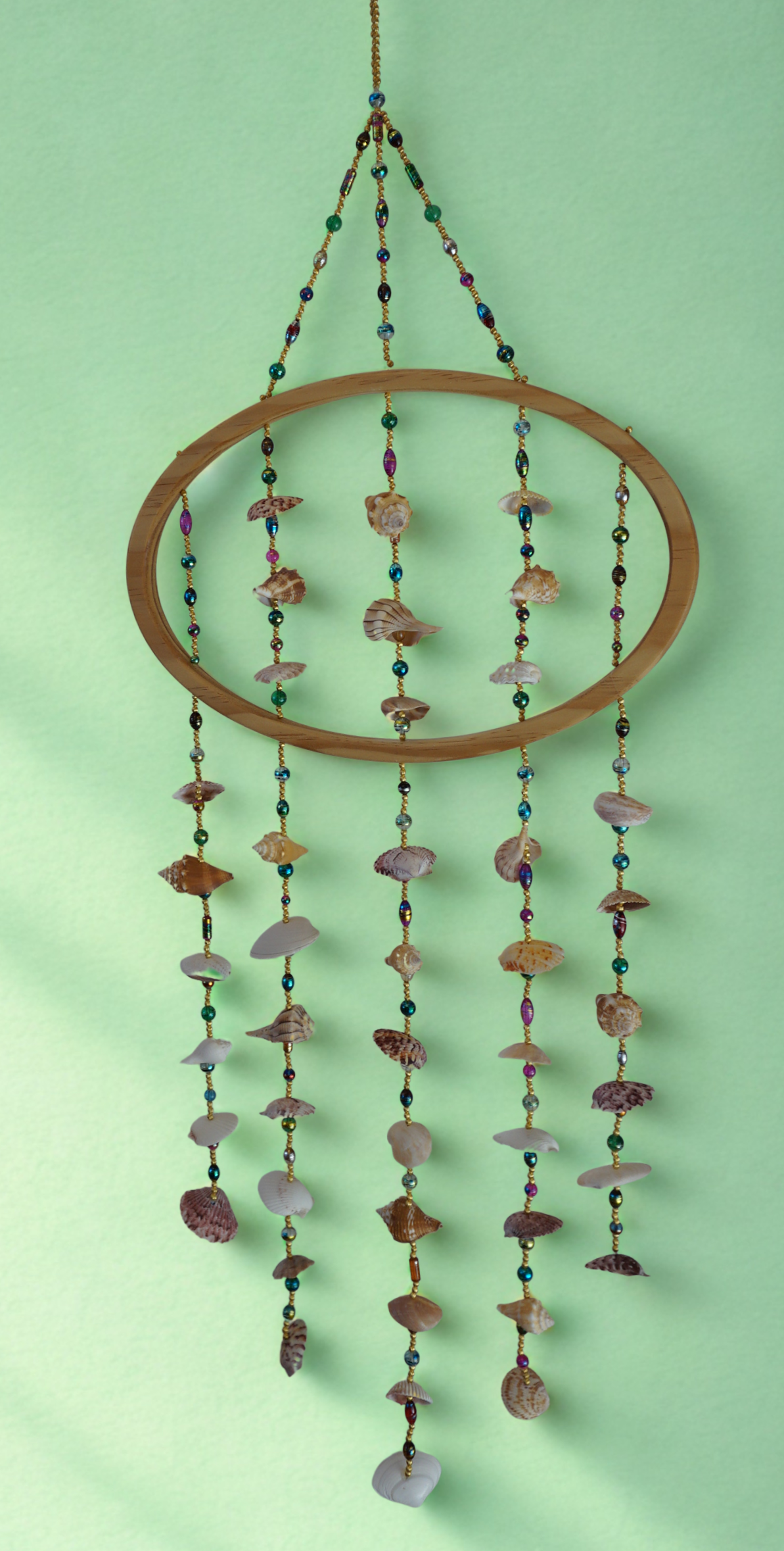 Decorative shell wall hanging against a light green background