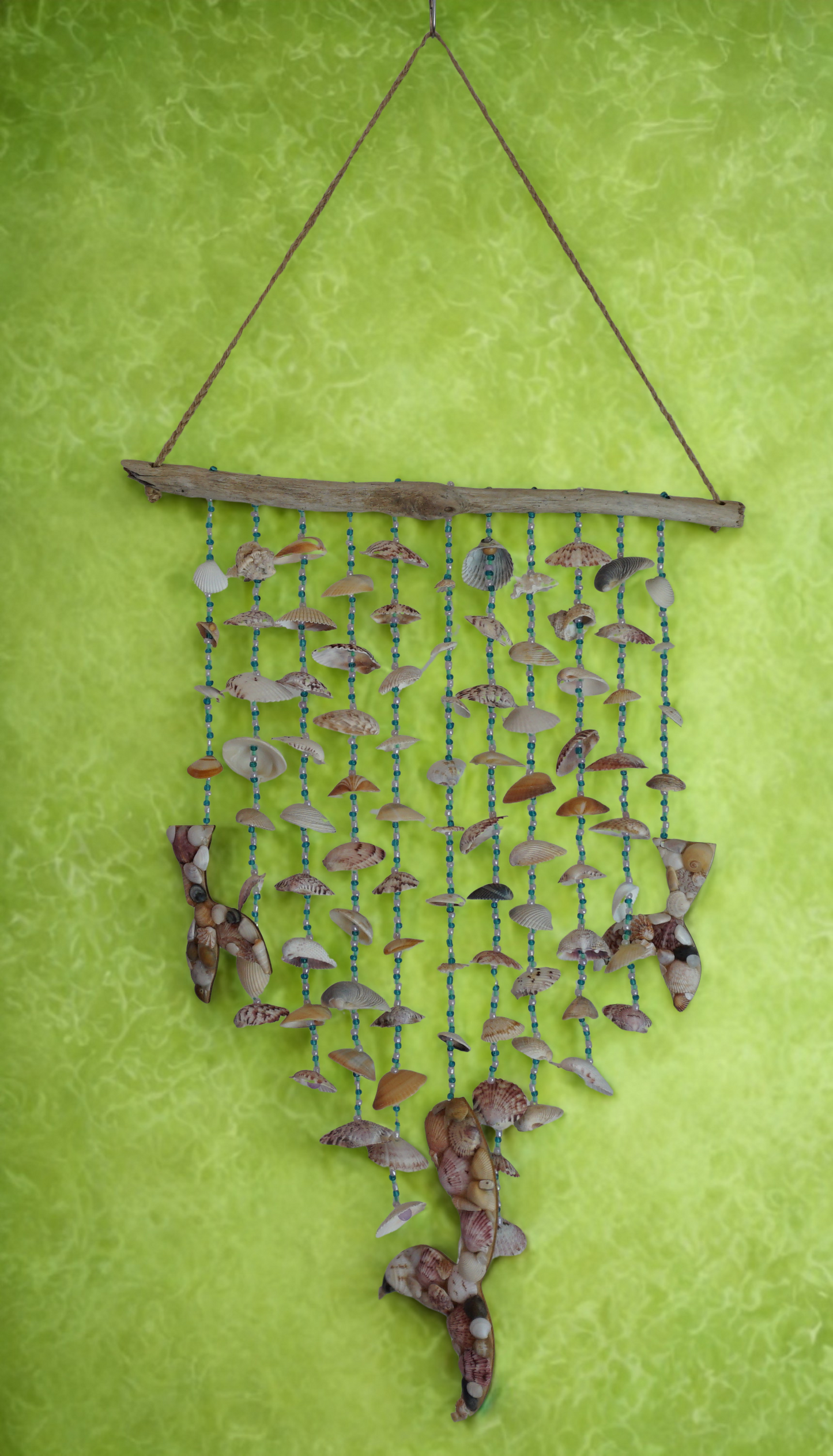 Decorative wall hanging made of seashells and driftwood on a green background