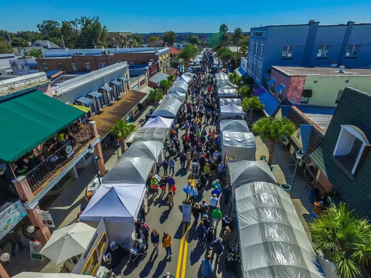 Mount Dora Craft Fair 2025
