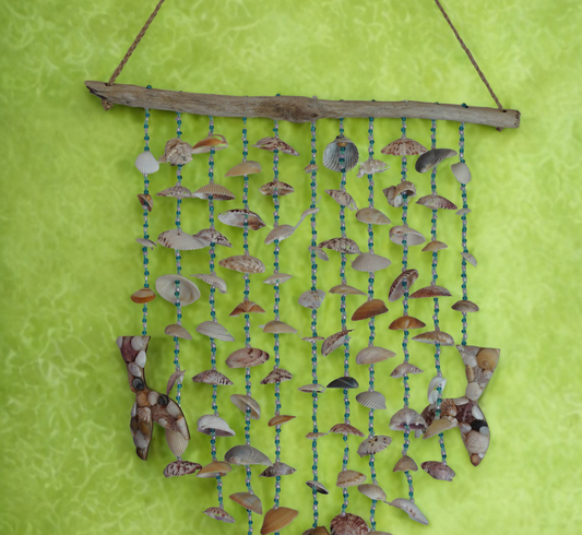 Decorative wall hanging made of seashells and driftwood on a green background