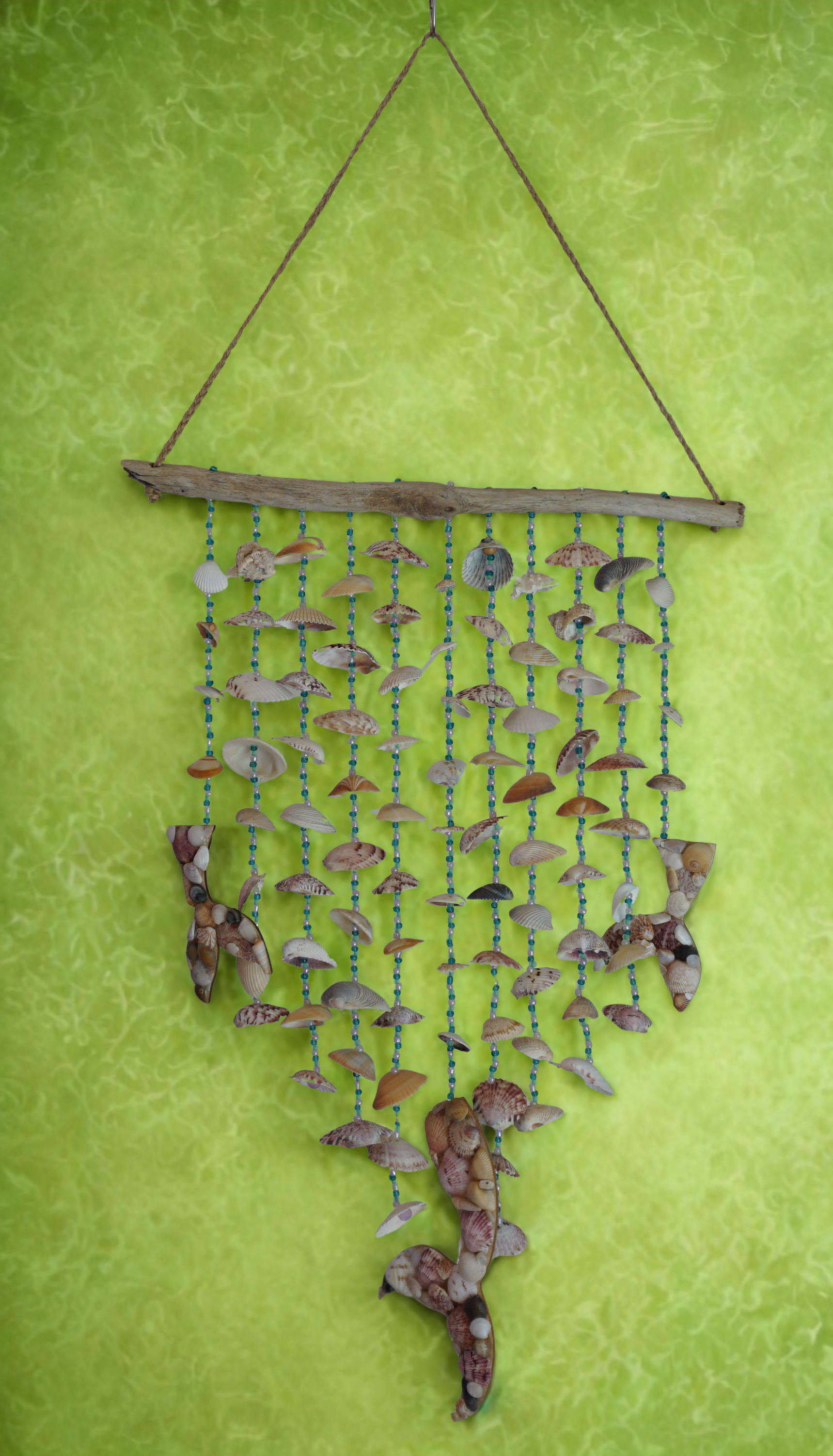 Decorative wall hanging made of seashells and driftwood on a green background